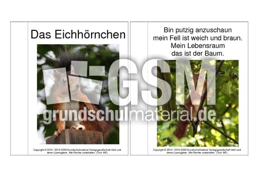 Mini-Buch-Eichhörnchen-Gedicht-Fotos-2.pdf